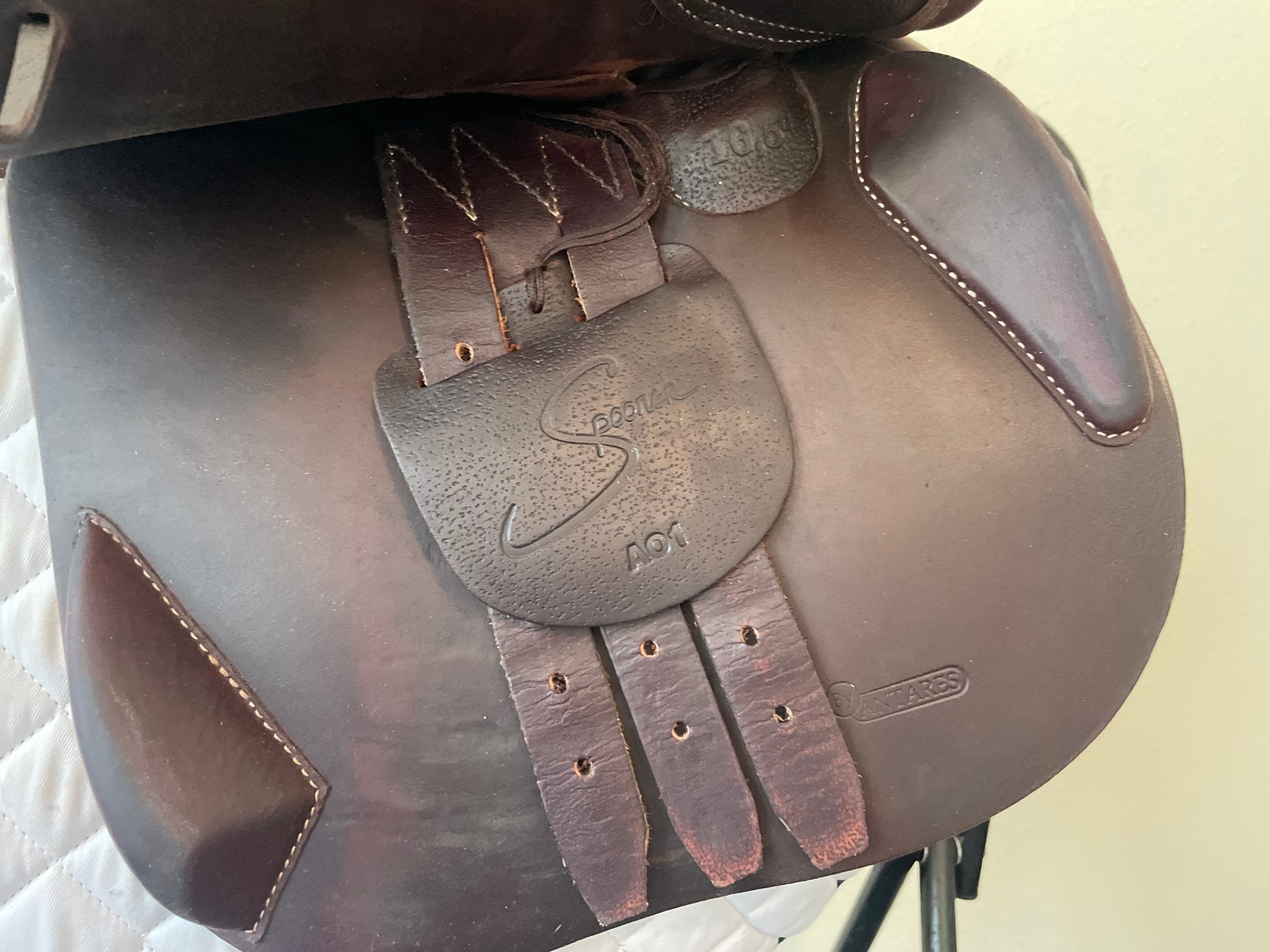 16.5 - Antares Saddle Spooner, 1N Flap, AO1