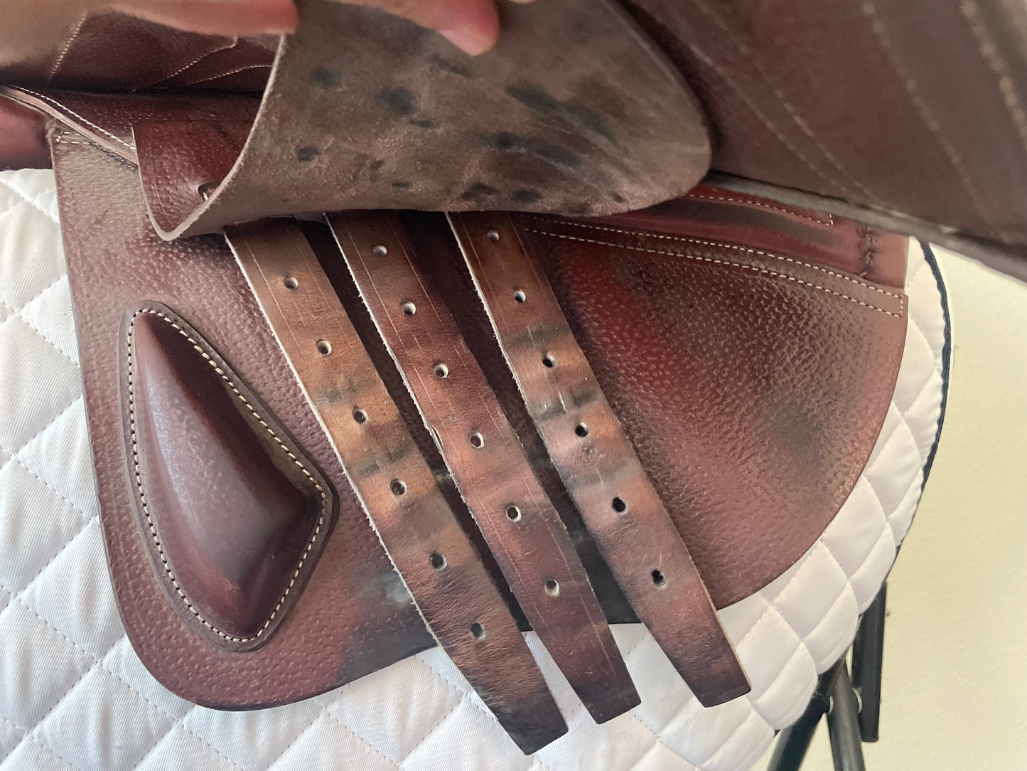 16.5" Saddle CWD SE03