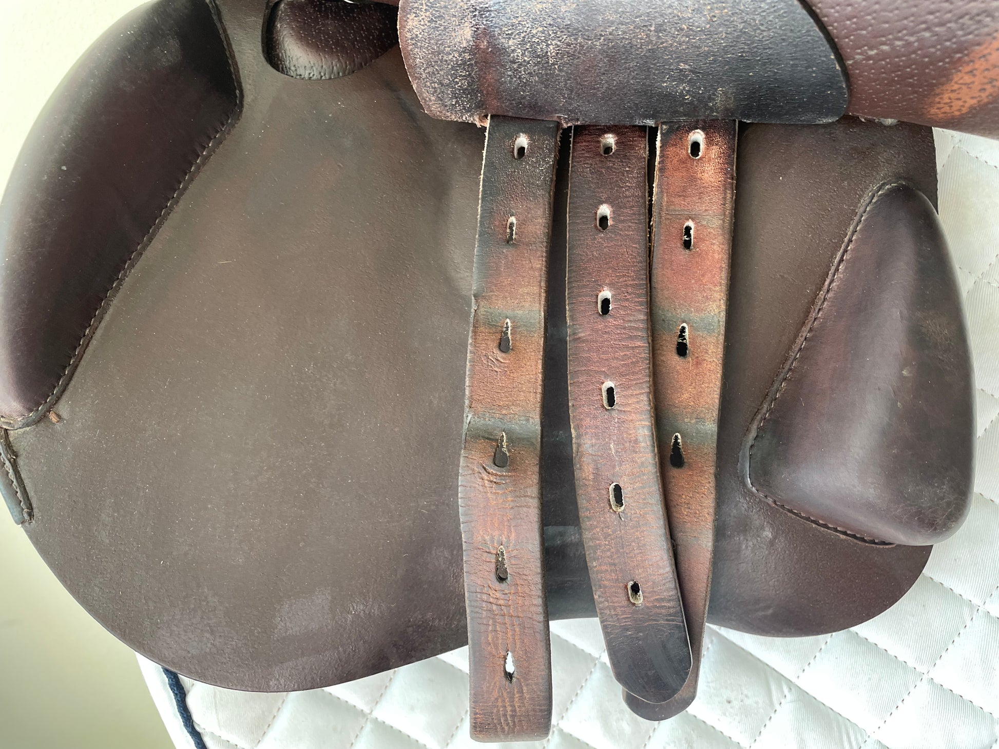 17.5" Equipe Synergy Saddle
