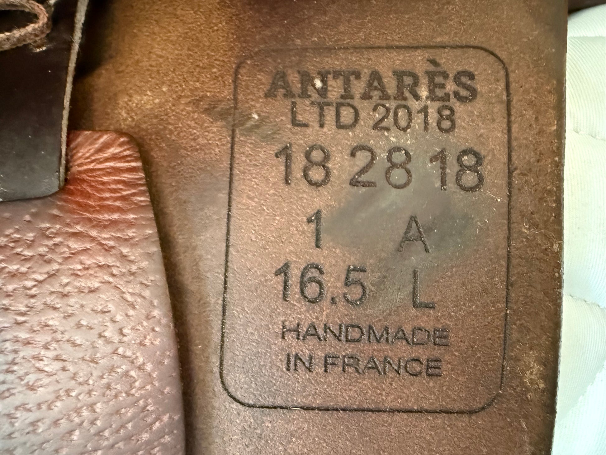 16.5" Antares Saddle 1A