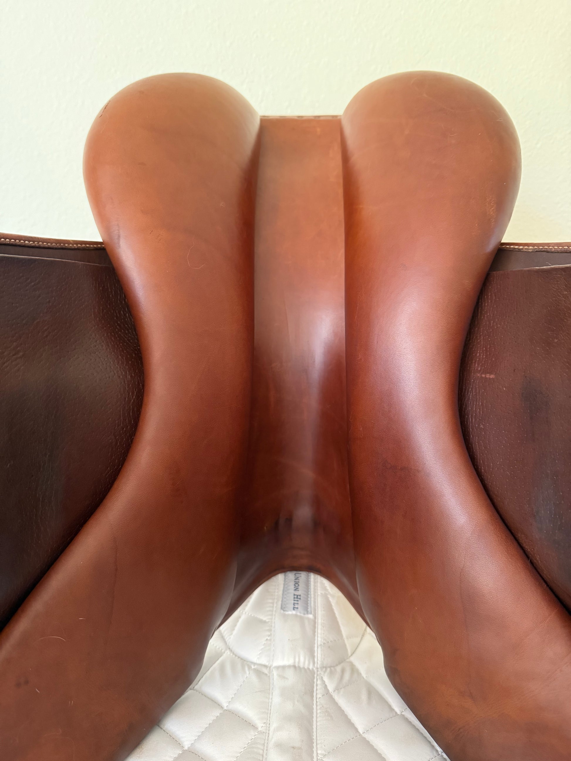 Antares Horse Saddle