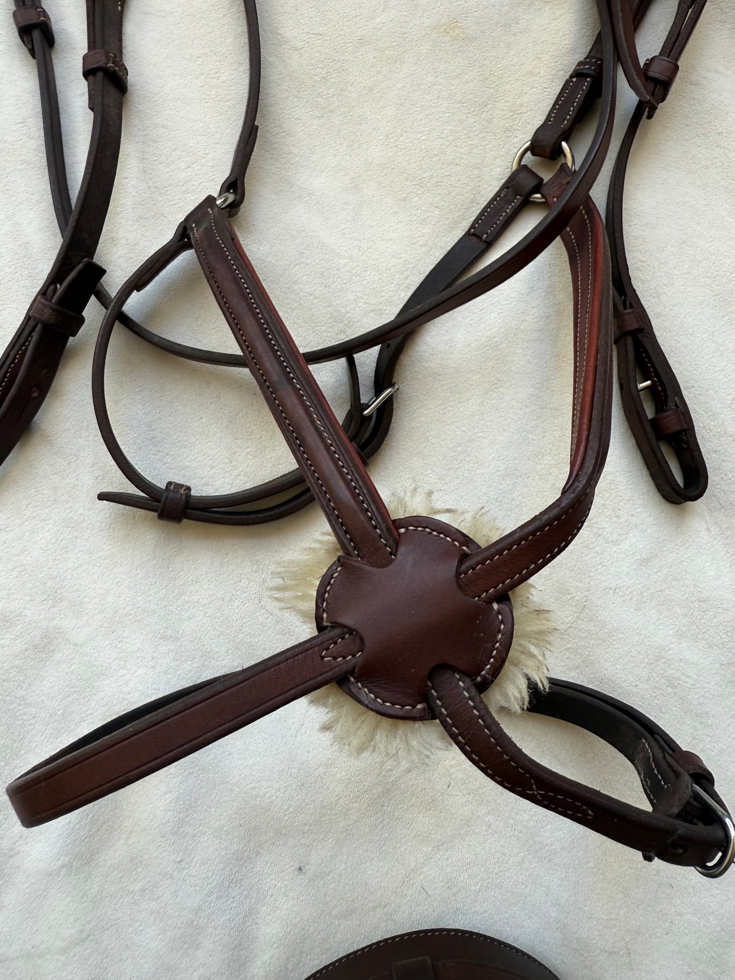 CWD Anatomic Figure 8 Noseband Bridle, Size 2 - Excellent Condition