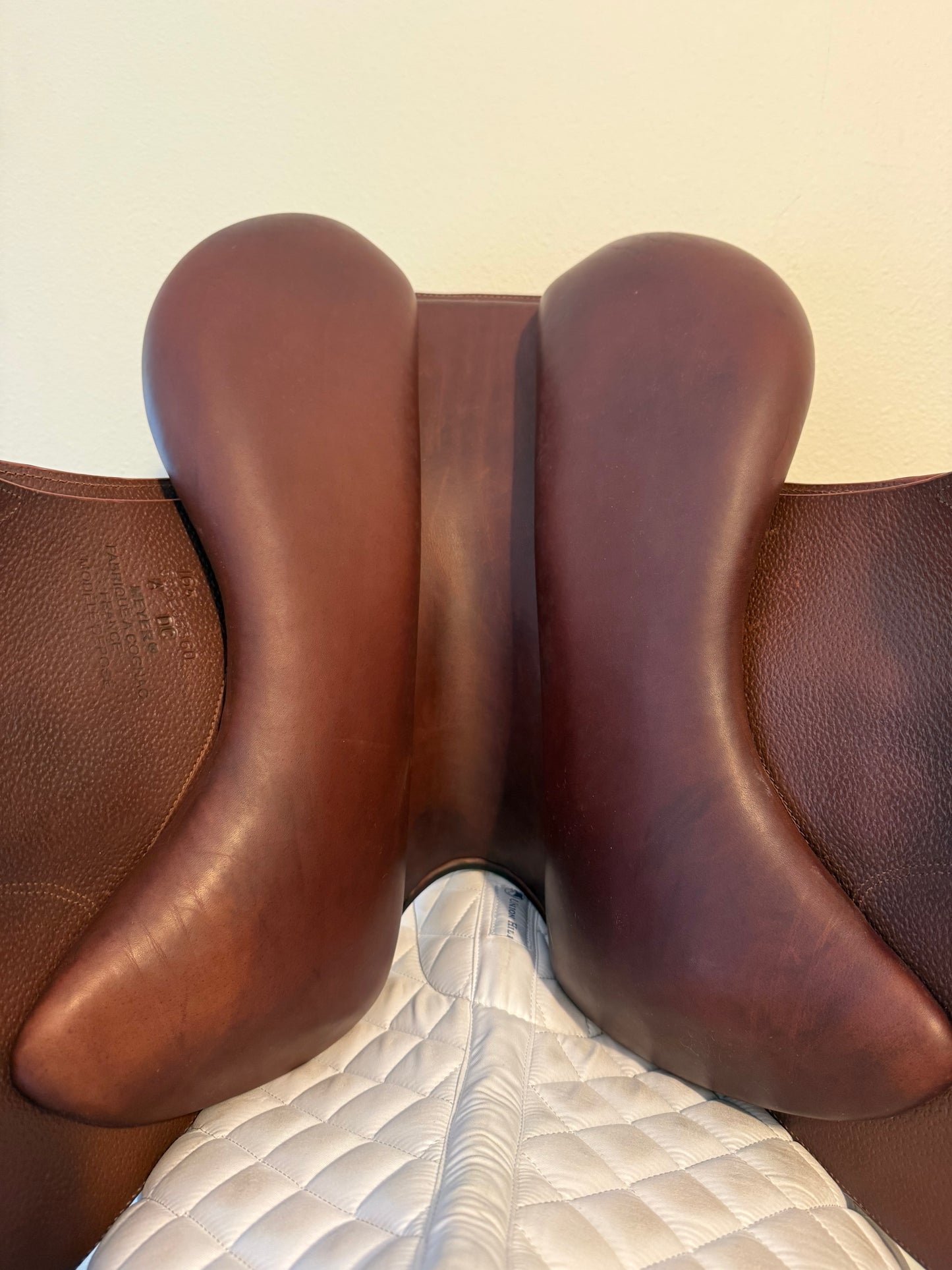 16.5 - 2023 Meyer Act 2, Standard Tree, Calf - Exceptional Condition