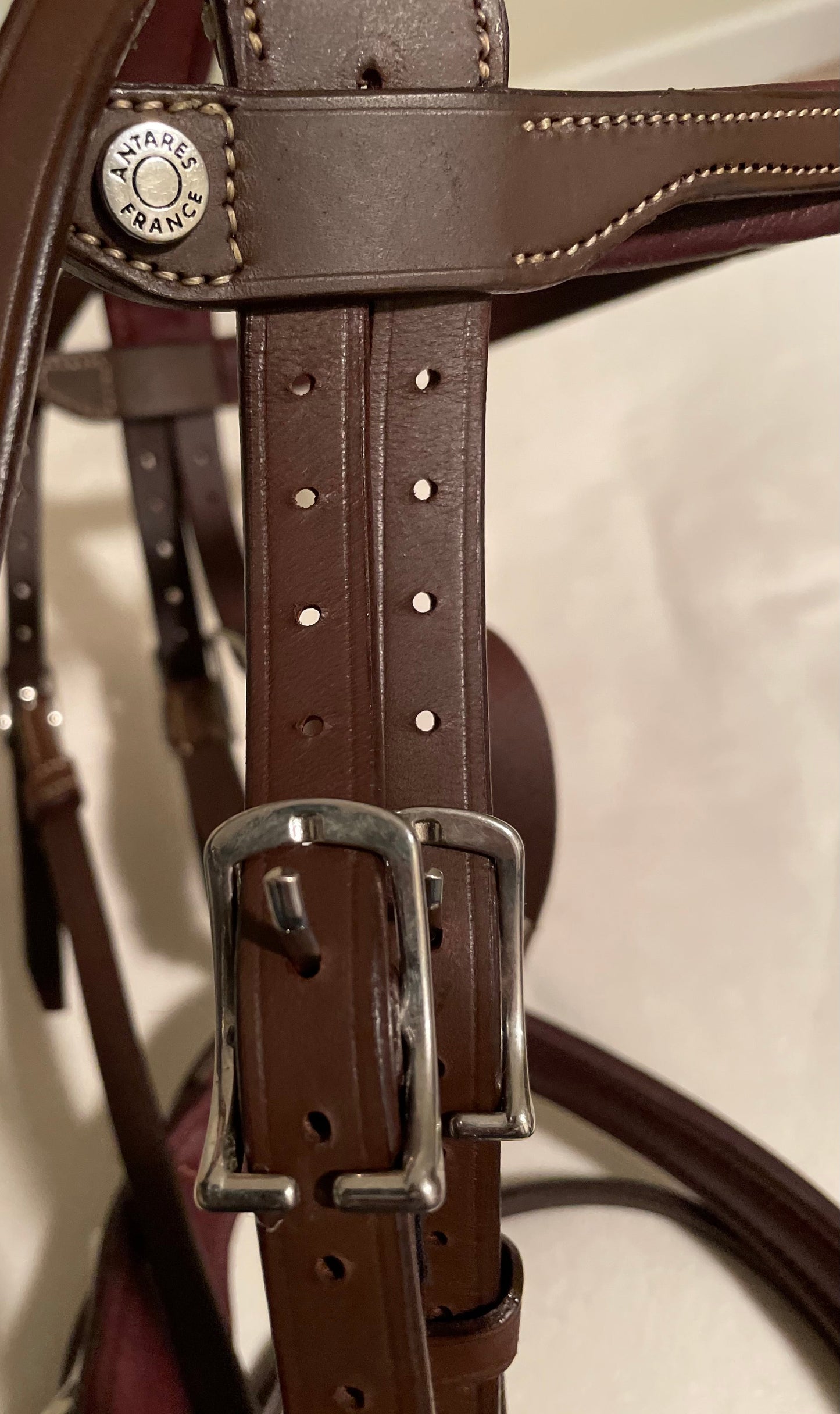 Antares Origin Flash Bridle (Size 2) - New