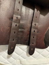 18.5 - 2022 Voltaire Stuttgart, 3AAAR, AO, Pro - Excellent Condition