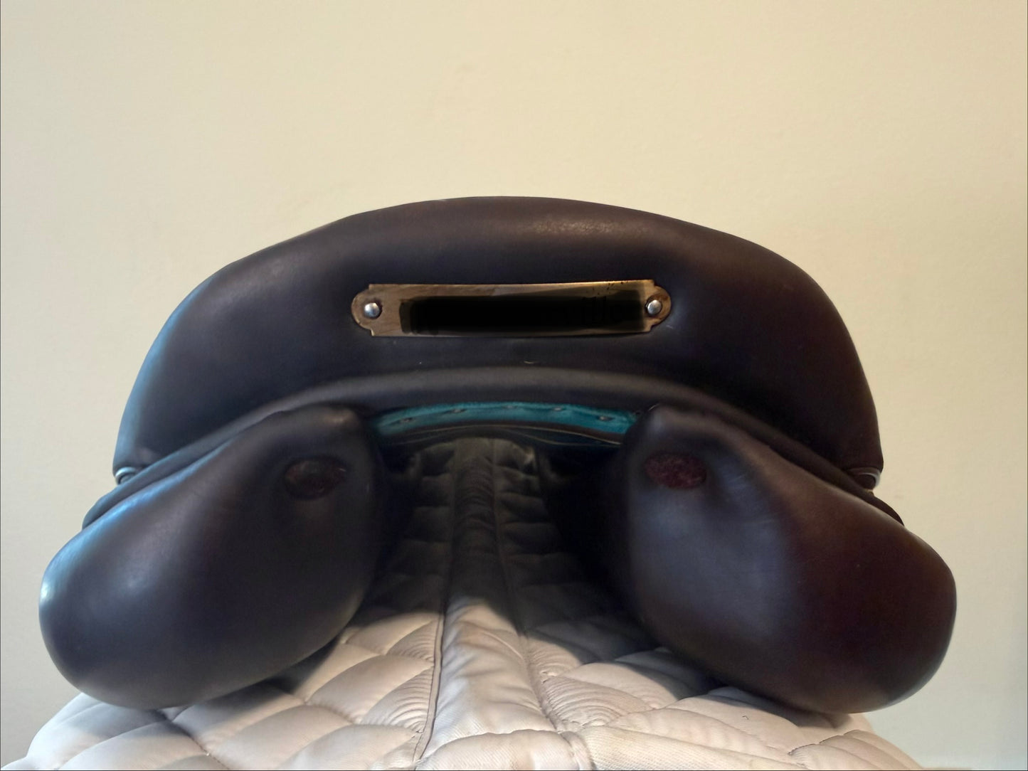 17" - 2022 Voltaire Palm Beach, 2A Flap, Pro Panel w/ D10, Second Skin, Buffalo - Very Nice!