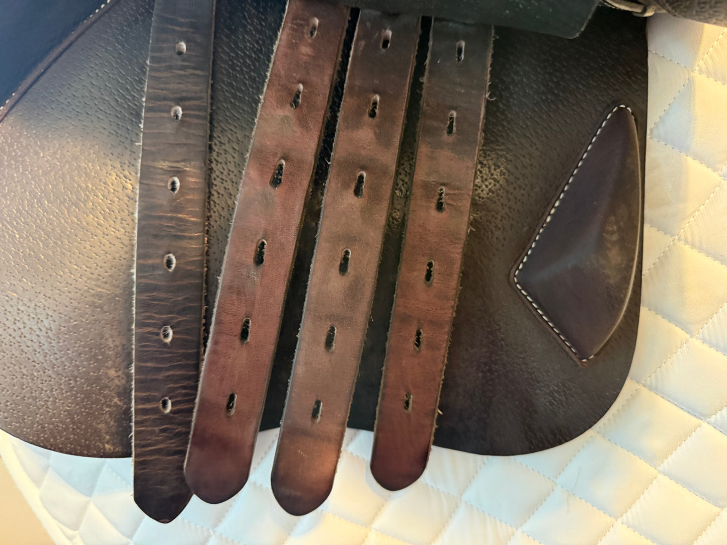 17.5 - 2022 Equipe EK Allegra, Normal Flap, Wide Tree (+1.5)
