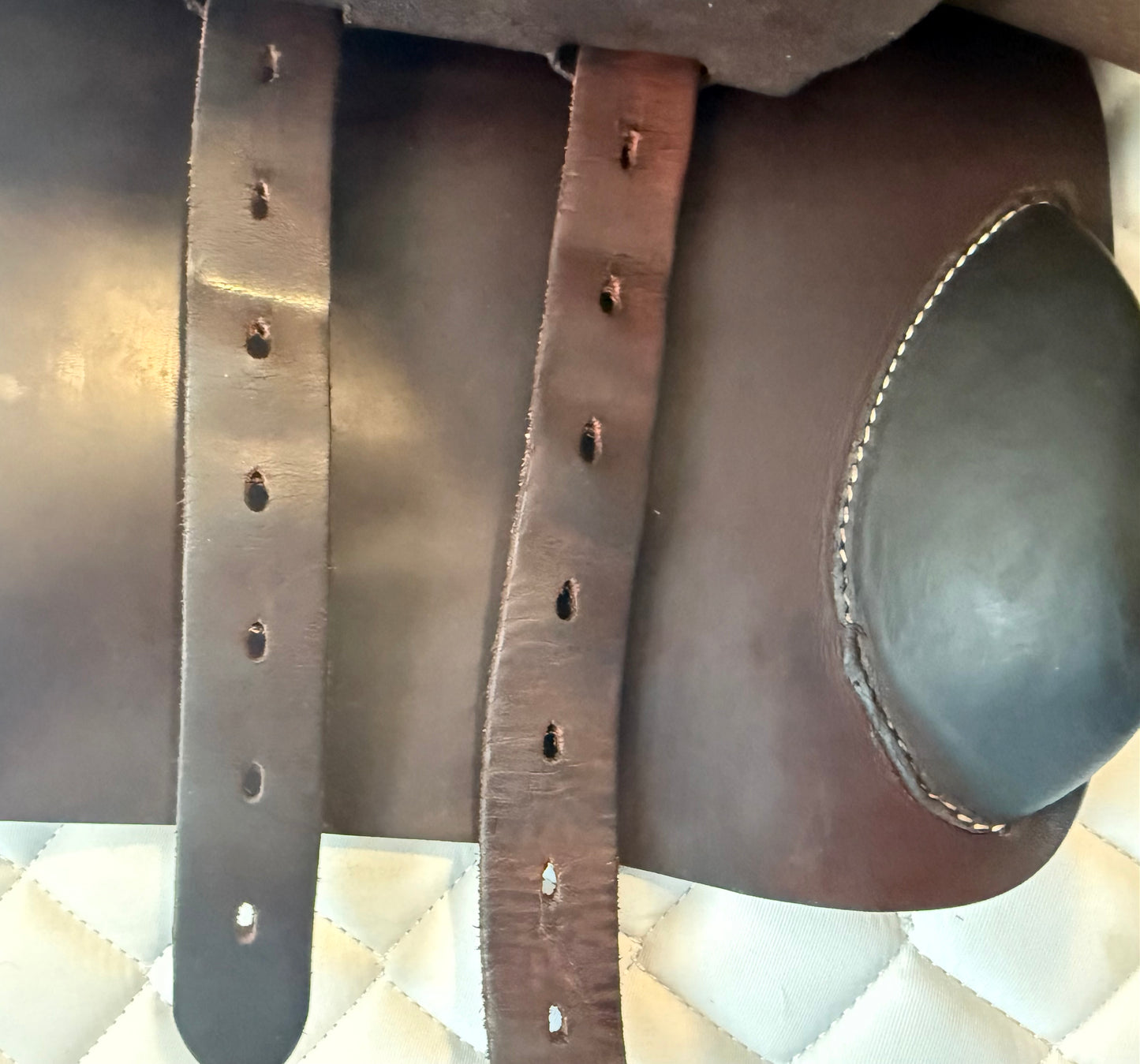 17" - 2022 Voltaire Palm Beach, 2A Flap, Pro Panel w/ D10, Second Skin, Buffalo - Very Nice!