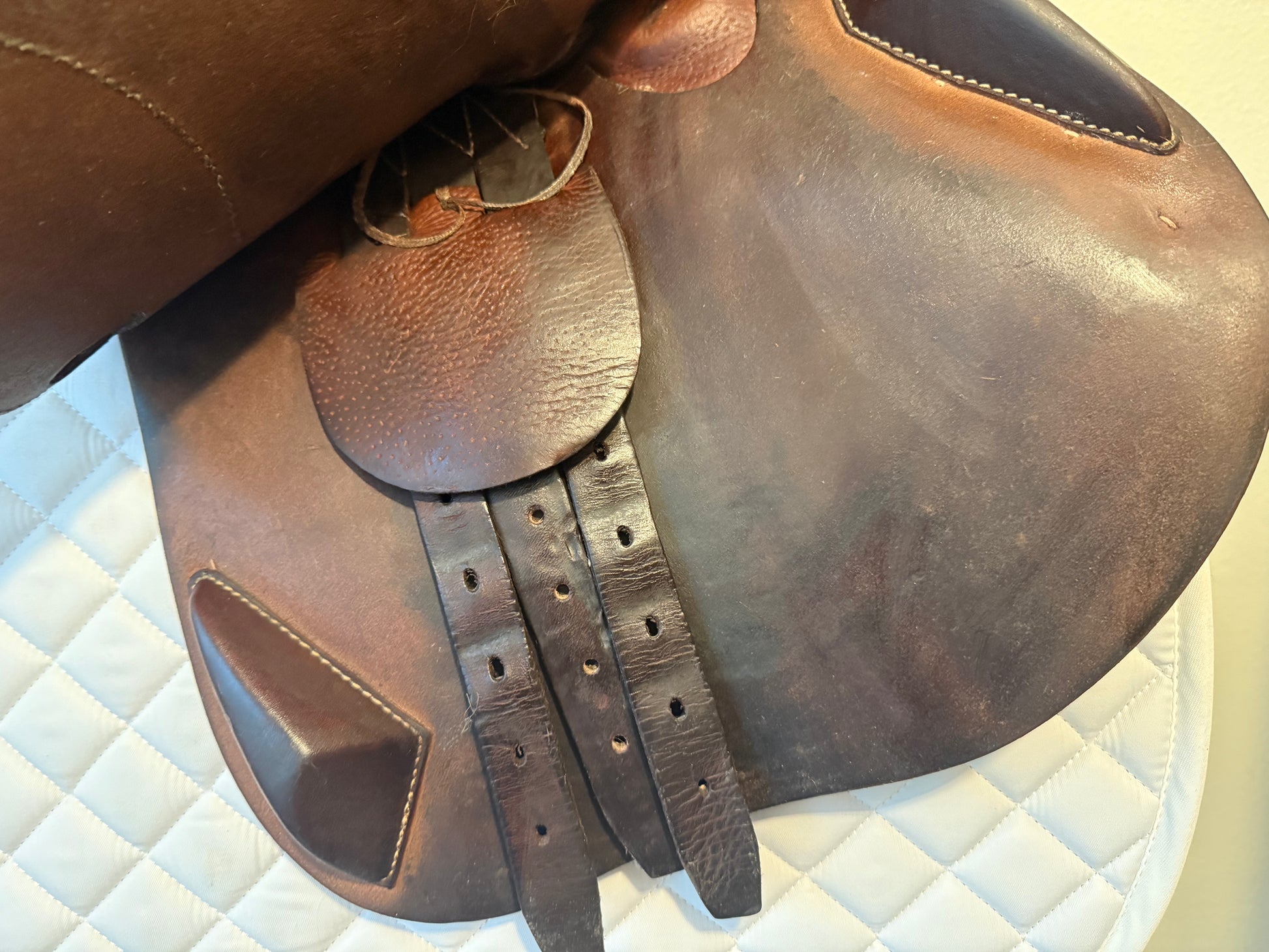 17.5" Antares Contact 2A Flap Normal Tree