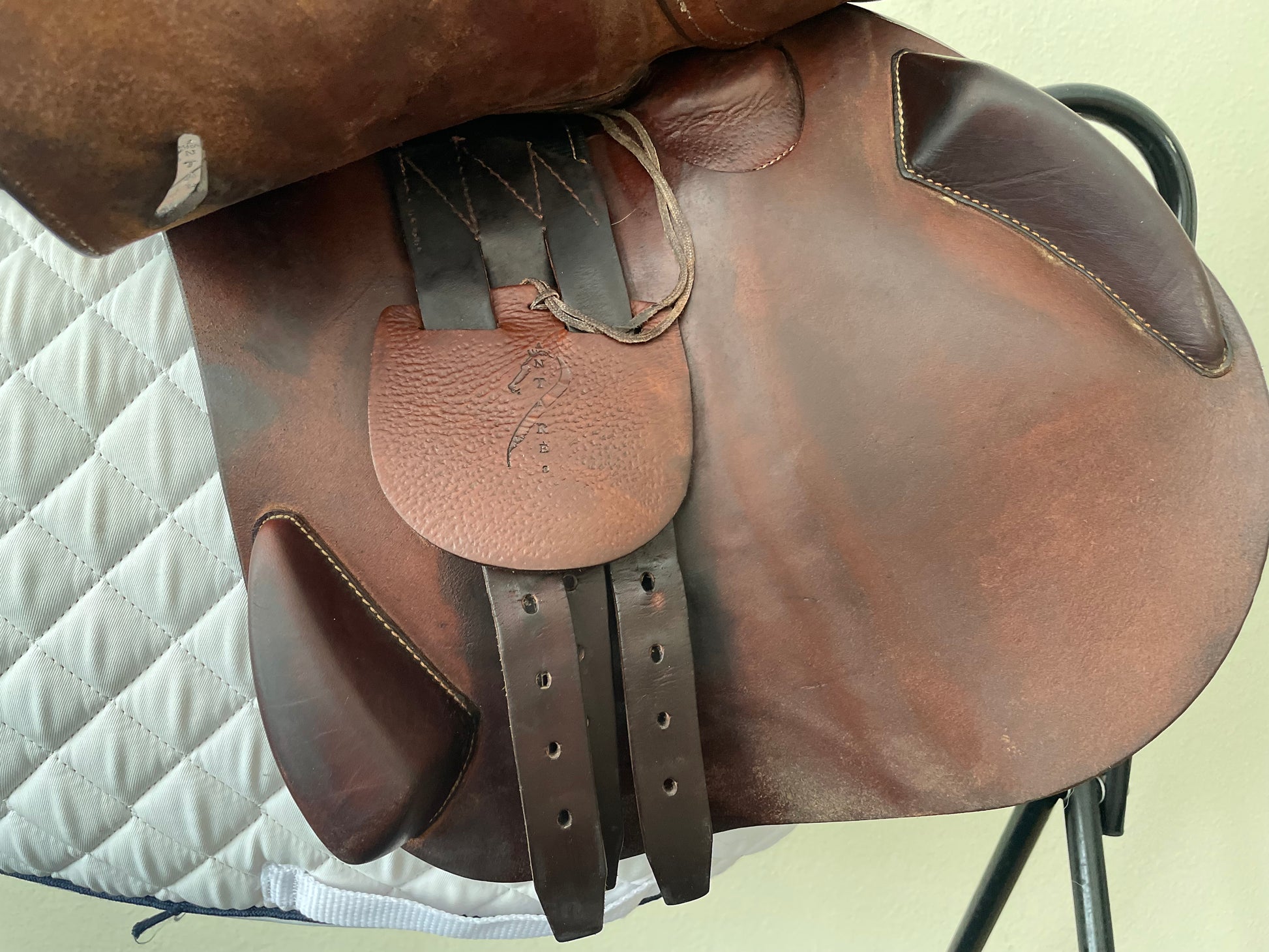 17.5" Antares Connexion 3AA Flap Buffalo