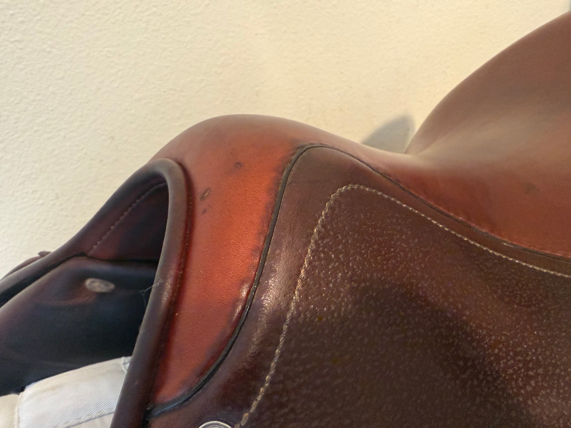 17.5" Antares Contact 2A Flap Normal Tree