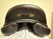 18.5 - 2022 Voltaire Stuttgart, 3AAAR, AO, Pro - Excellent Condition