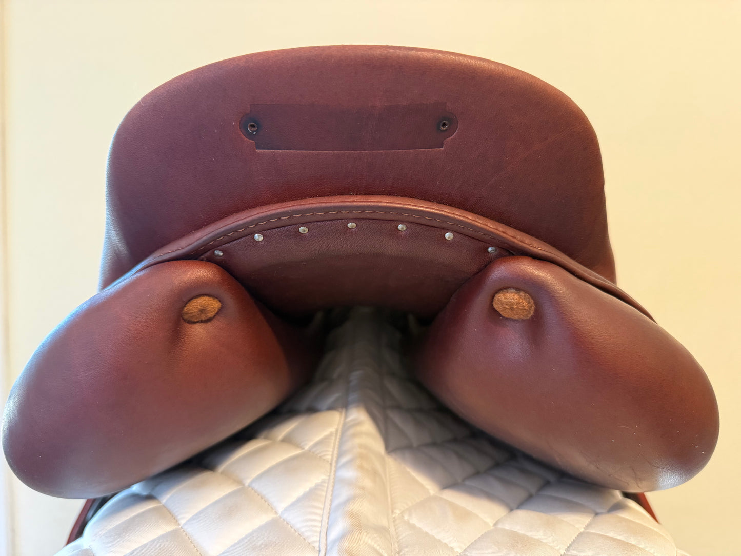 16.5 - 2023 Meyer Act 2, Standard Tree, Calf - Exceptional Condition