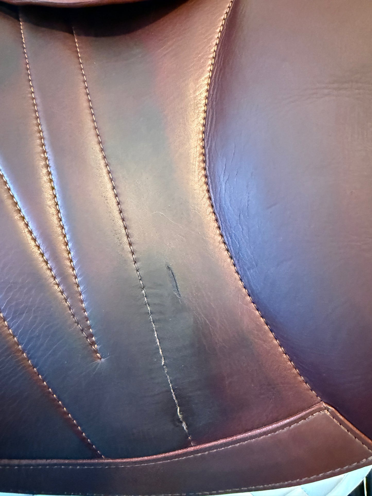 16.5 - 2023 Meyer Act 2, Standard Tree, Calf - Exceptional Condition