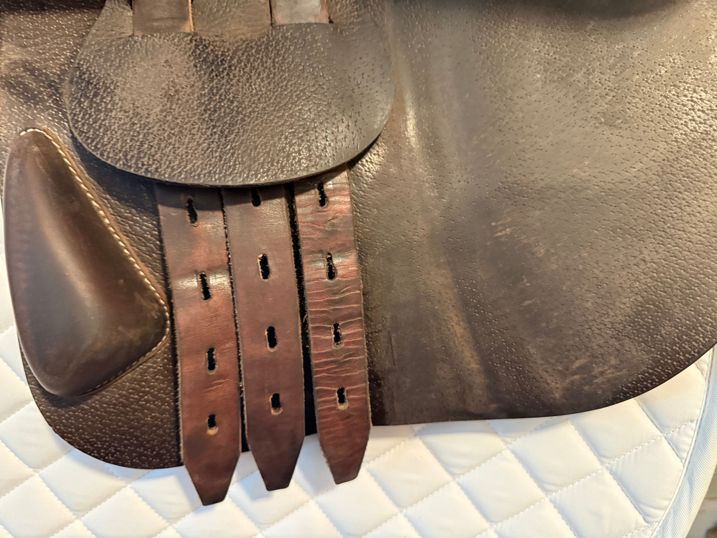17.5 - 2024 Equipe Special One, SW Flap, Medium Tree and Panel - Very Nice