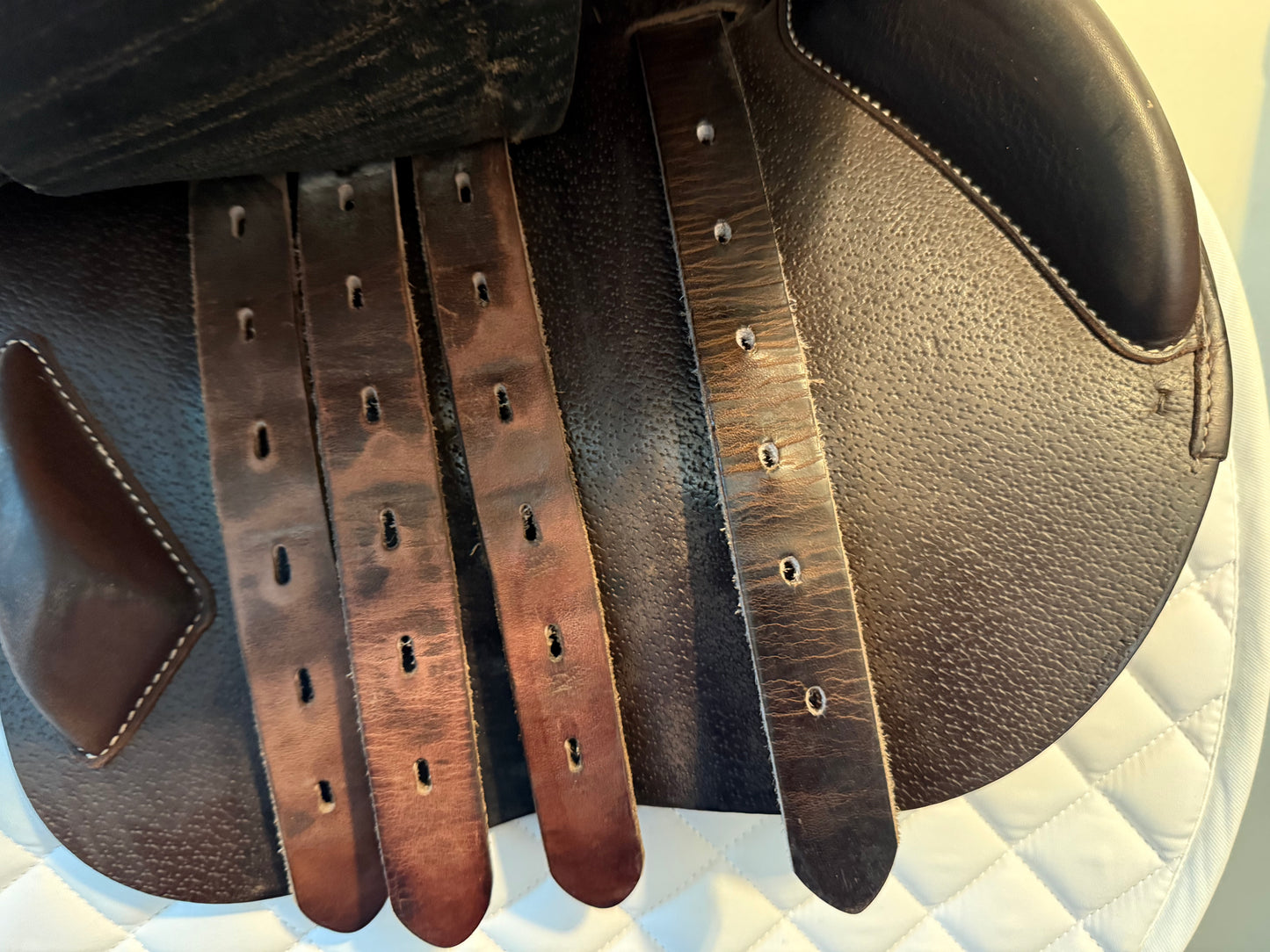 17.5 - 2022 Equipe EK Allegra, Normal Flap, Wide Tree (+1.5)