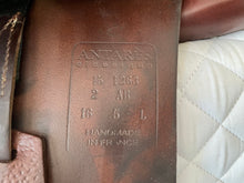 16.5" Antares Classique Saddle, 2AB Flap 